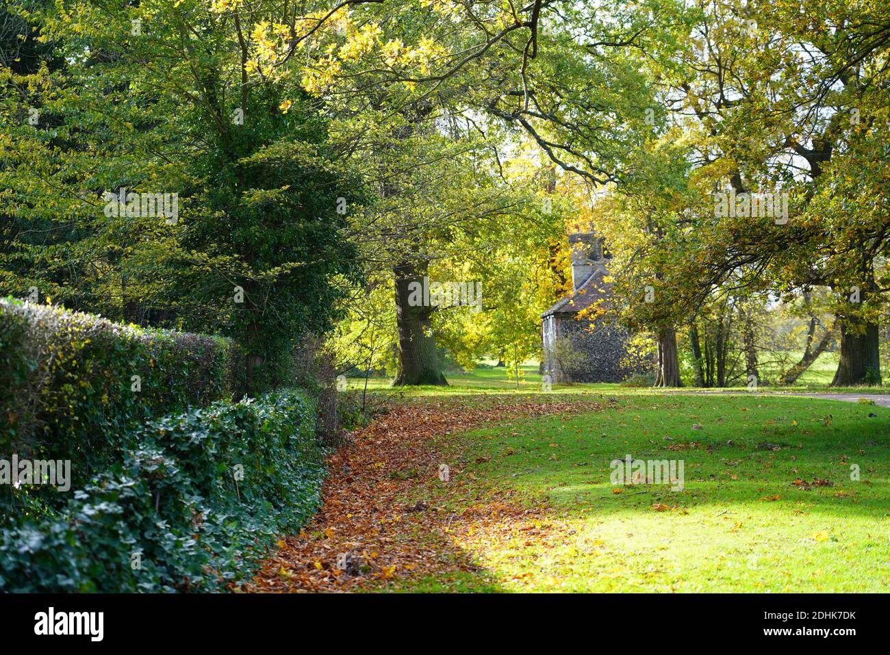 Hylands Park, Chelmsfords Foto Stock