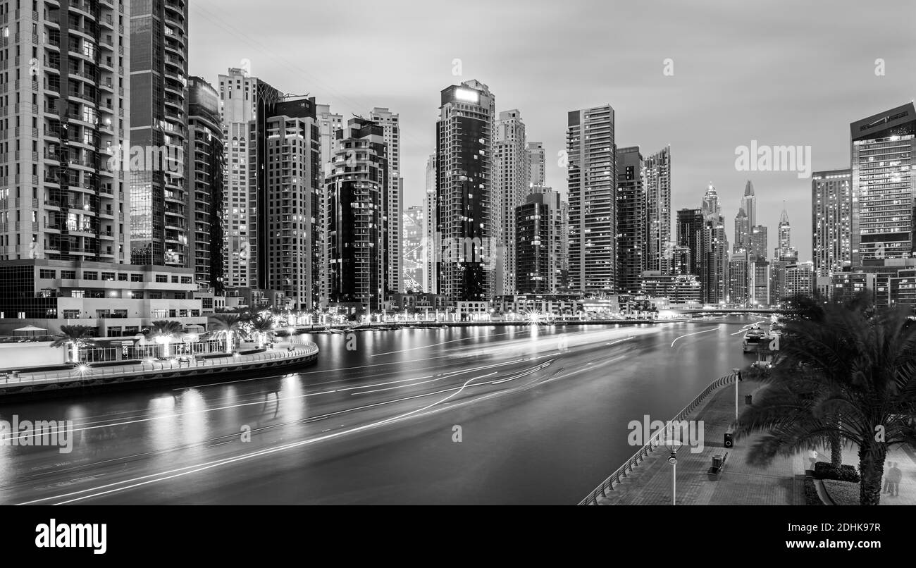 I cammelli sulla spiaggia di Jumeirah e grattacieli in backround in Dubai, Dubai, Emirati Arabi Uniti Foto Stock