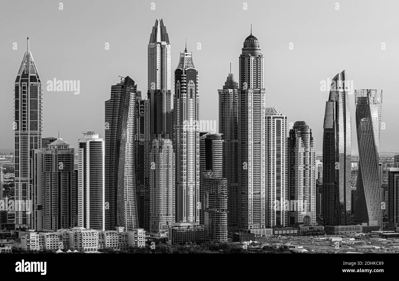 I cammelli sulla spiaggia di Jumeirah e grattacieli in backround in Dubai, Dubai, Emirati Arabi Uniti Foto Stock