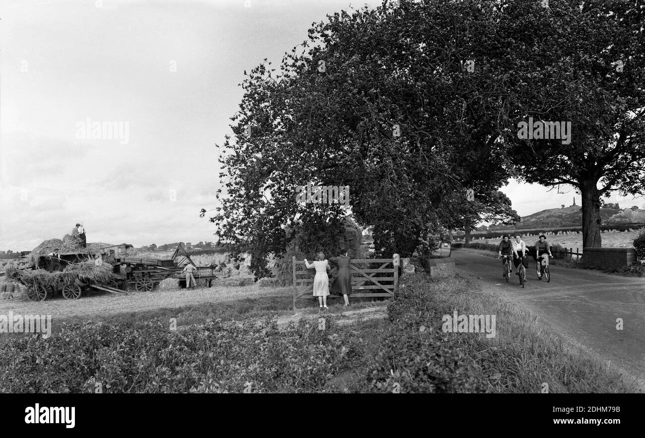 Raccolto rurale scena in estate Shropshire Gran Bretagna Regno Unito degli anni cinquanta Foto Stock