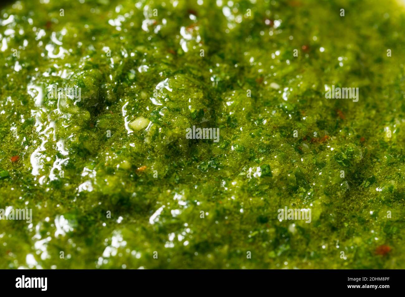 Salsa di Zhug mediorientale fatta in casa con Cilantro e Jalapenos Foto Stock