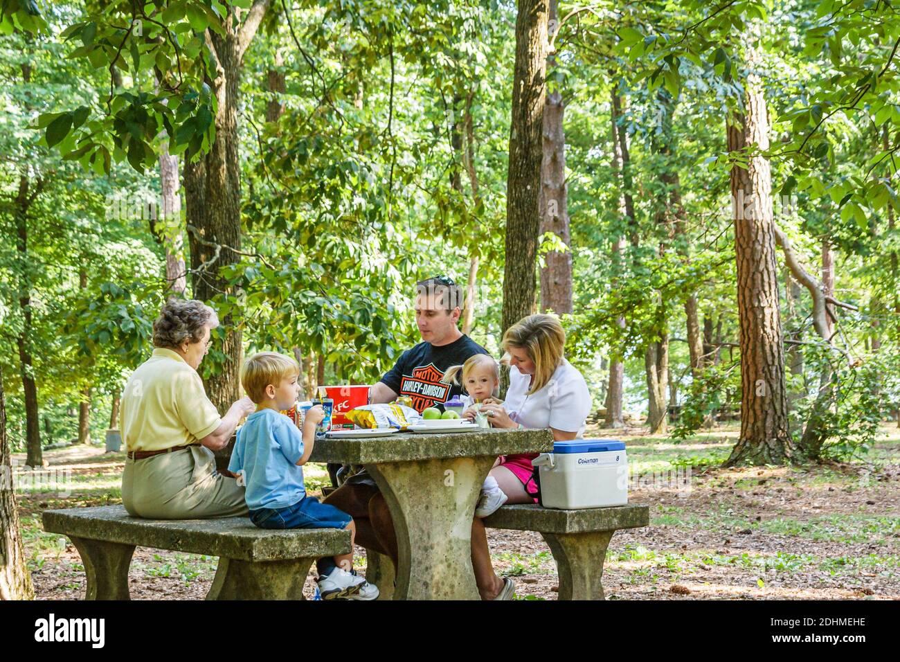 Huntsville Alabama, Monte sano state Park, famiglia bambino madre padre ragazzo figlio bambino picnic tavolo mangiare, foresta, Foto Stock