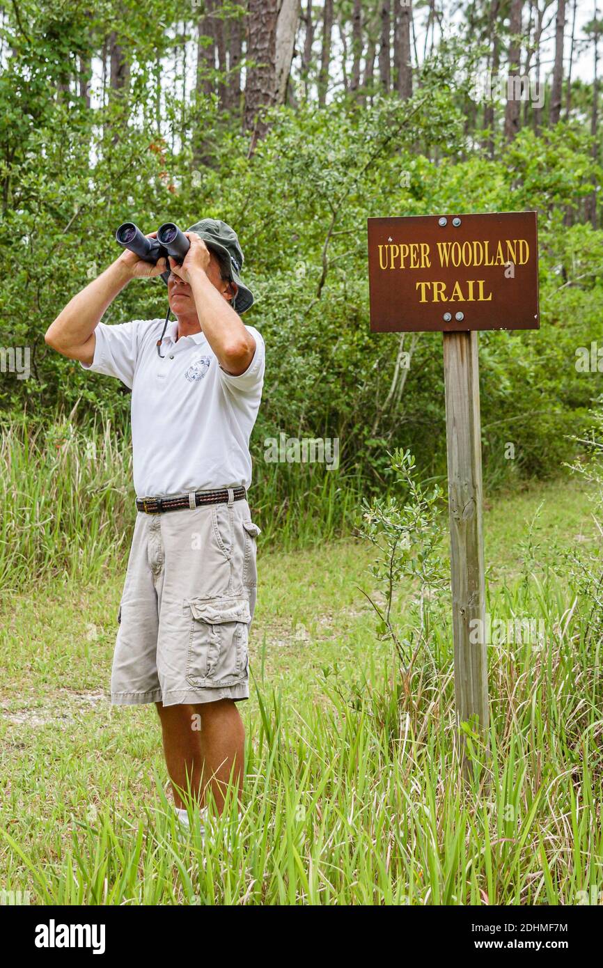 Alabama Dauphin Island Audubon Bird Sanctuary, uomo birdwatching birdwatching binocolo guardando, percorso boschivo superiore, Foto Stock