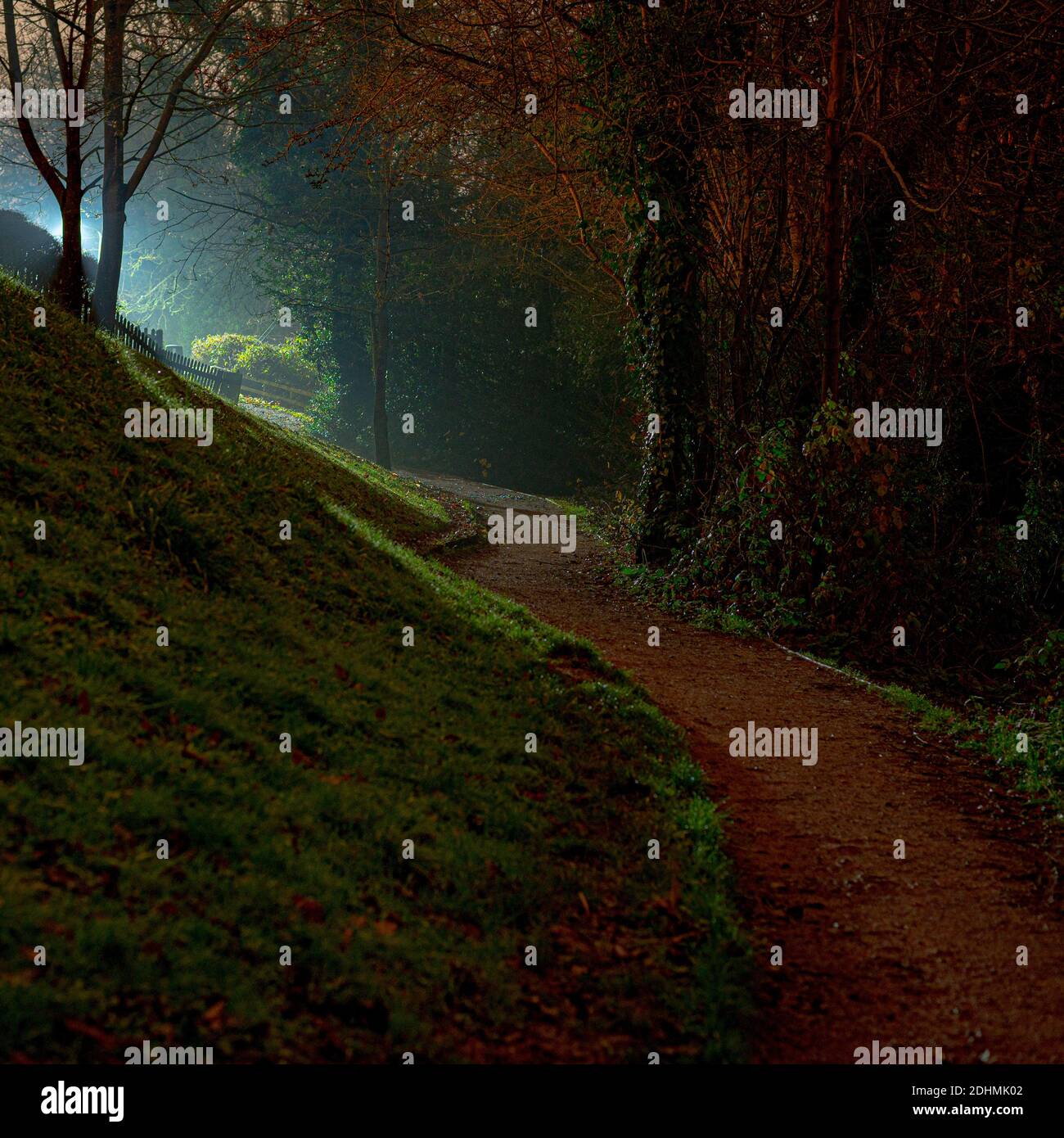 Immagine in tempo reale del percorso illuminato in modo etereo oltre gli alberi e. pendenza erbosa con alberi sagomati Foto Stock