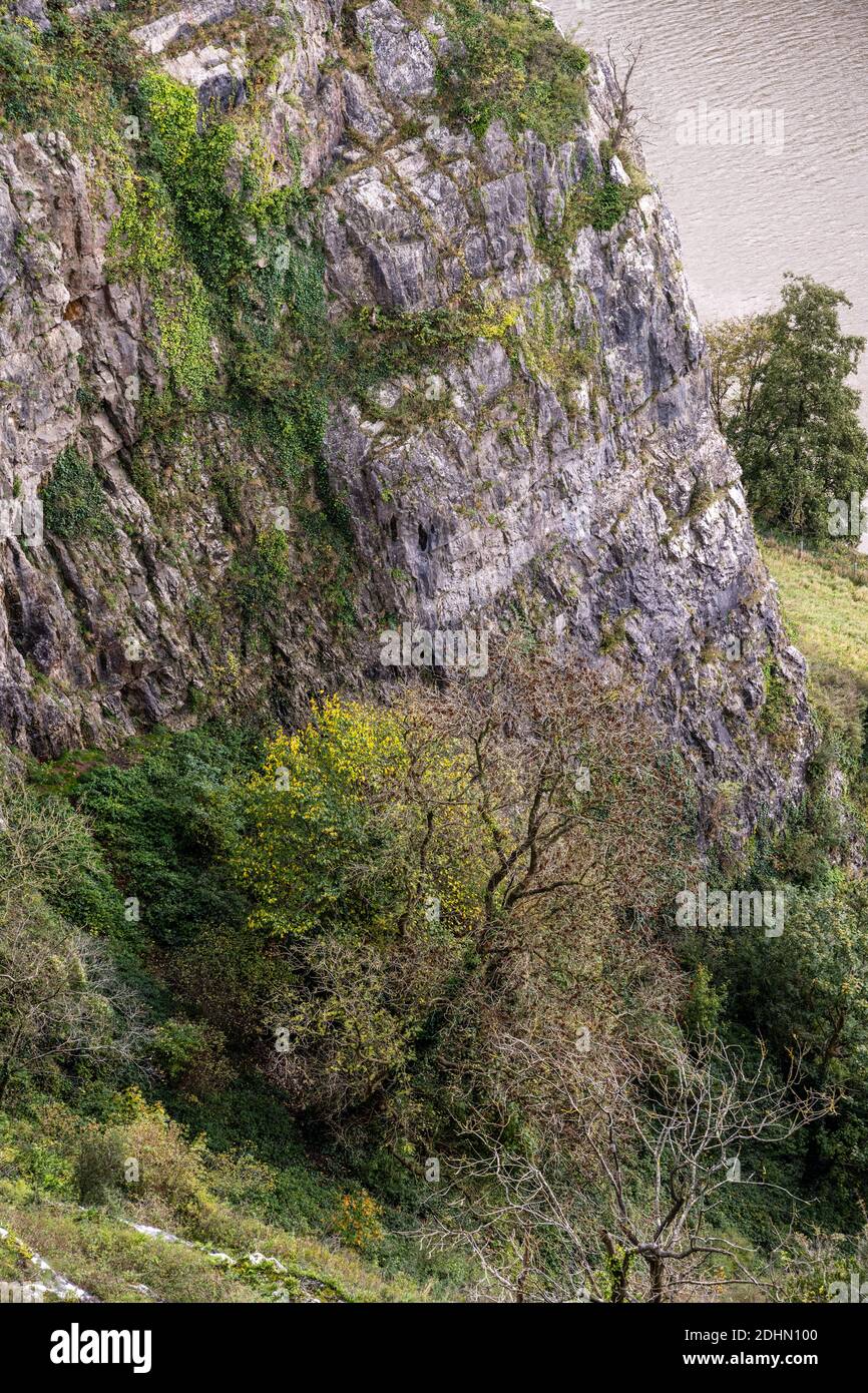 Gli alberi mostrano colori autunnali accanto alle ripide pareti rocciose della Gola di Avon a Bristol. Foto Stock