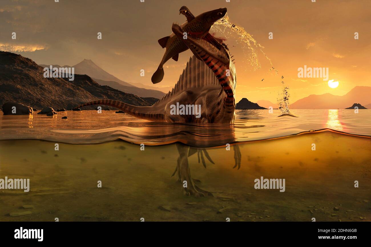 Lo Spinosaurus (che significa "lucertola di pino") era probabilmente il più grande dinosauro che mangia carne a, secondo una stima, fino a 18 metri di lunghezza. Nominato per Foto Stock