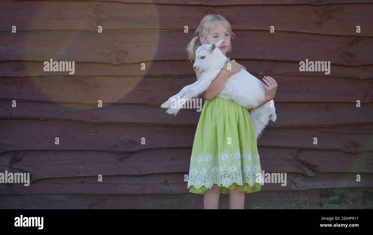 bambina di 6 anni che tiene una capra tra le braccia. Foto Stock