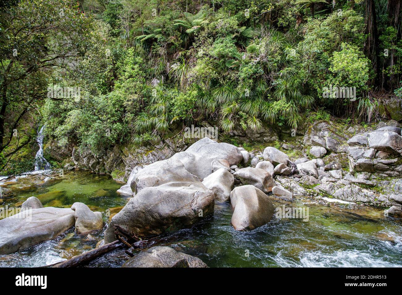 Cascata di Wainui, Golden Bay, Nelson, Tasman, Nuova Zelanda, Sabato, Novembre 21, 2020. Foto Stock