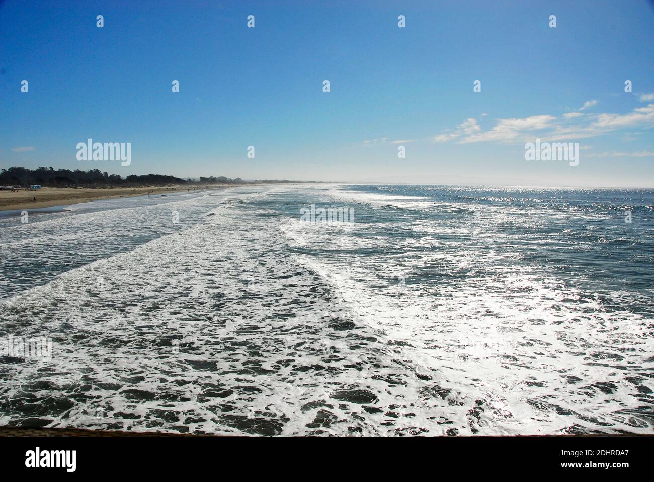 Gli interruttori a terra a Pismo Beach nella contea di San Luis Obispo, California, famosa per le sue vongole, le spiagge e le dune di sabbia. Foto Stock