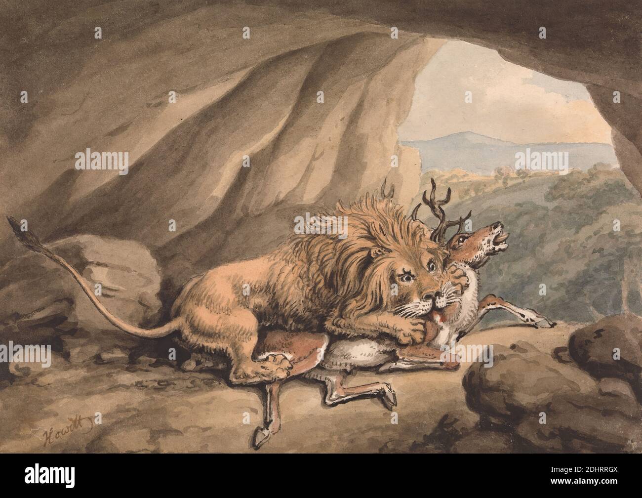Leone che attacca uno Stag, Samuel Howitt, 1756–1822, britannico, non satinato, acquerello, penna e inchiostro nero e grafite su carta media, leggermente testurizzata, crema di wove, foglio: 5 × 7 1/8 pollici (12.7 × 18.1 cm), arte animale, attacco, grotta, mangiare, leone, stag Foto Stock