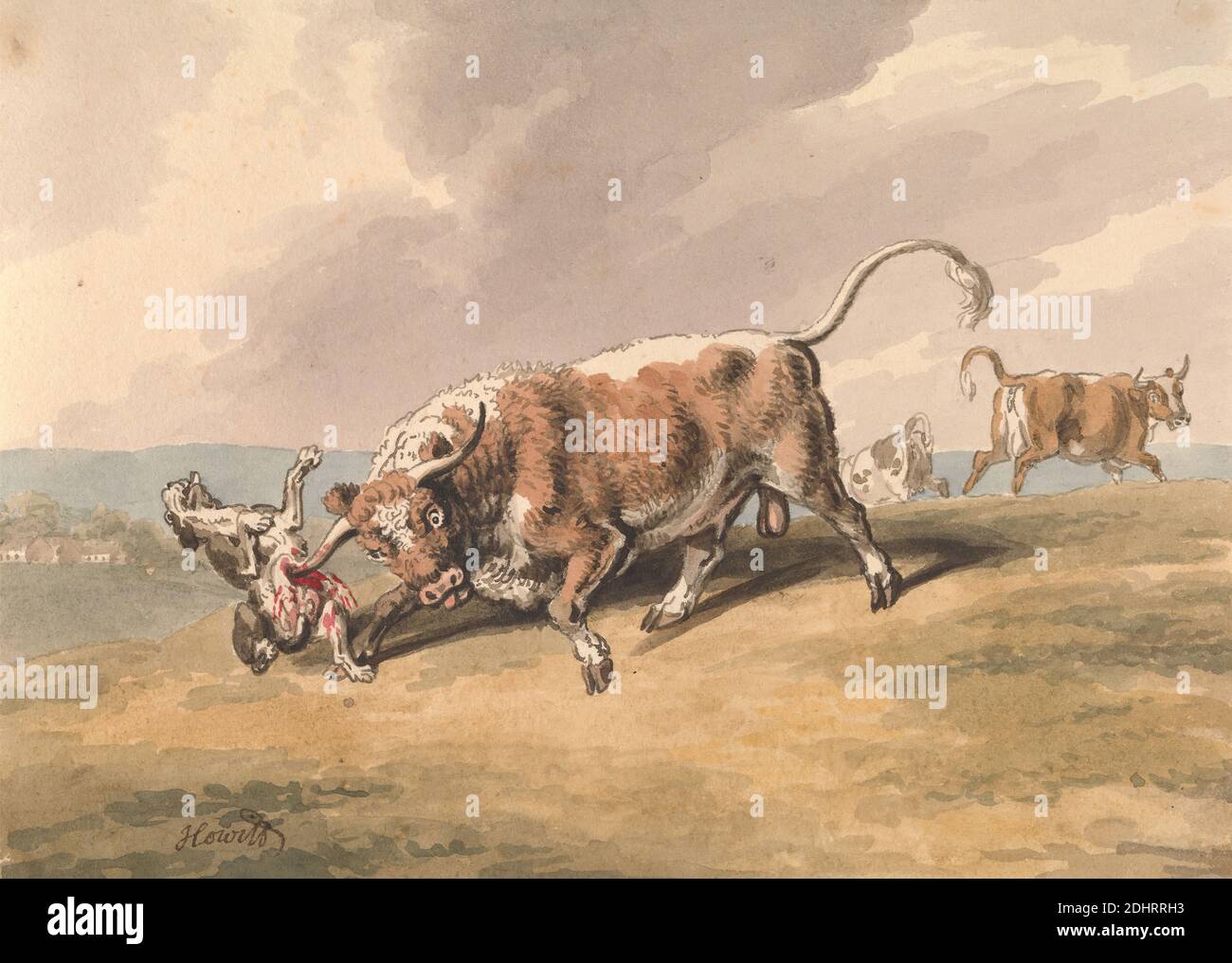 Un toro che attacca un cane, Samuel Howitt, 1756–1822, britannico, non satinato, acquerello, inchiostro penna e marrone e grafite su carta media, leggermente testurizzata, crema di wove, foglio: 5 1/8 × 7 1/8 pollici (13 × 18.1 cm), arte animale, attacco, tori, cane (animale), campo Foto Stock
