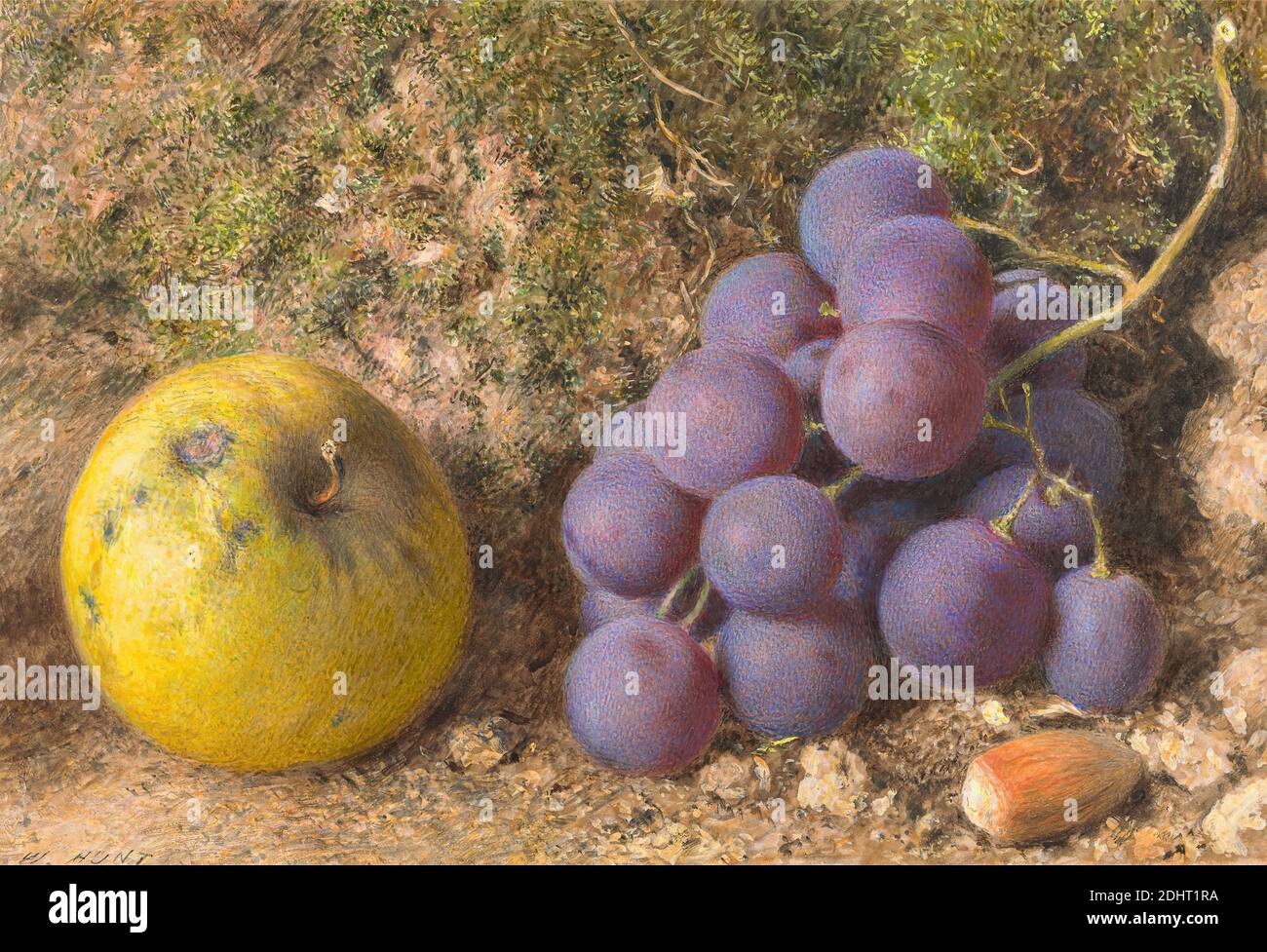 Apple, Grapes e un COB-Nut, William Henry Hunt, 1790–1864, inglese, ca. 1850, acquerello e gouache su grafite di spessore moderato, leggermente testurizzato, carta d'wove crema, foglio: 3/8 x 12.7 cm (5 x 7 18.7 pollici), mela, botanica, sporco, cibo, frutta, uva, muschio, noce, ciottoli, scienza, vita morta Foto Stock