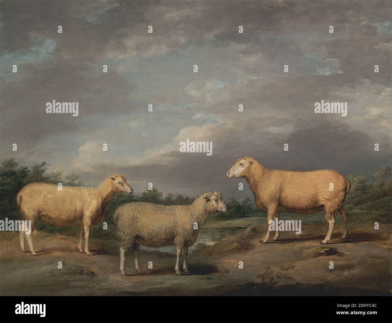 Ryelands Sheep, The King's RAM, The King's Ewe and Lord Somerville's Wether, James Ward, 1769–1859, British, tra il 1801 e il 1807, Oil on Panel, Support (PTG): 17 3/4 x 24 1/4 pollici (45.1 x 61.6 cm), animali, nuvole, pecora (animale), re (persona), paesaggio, bestiame (animale), rurale, pecora, acqua Foto Stock