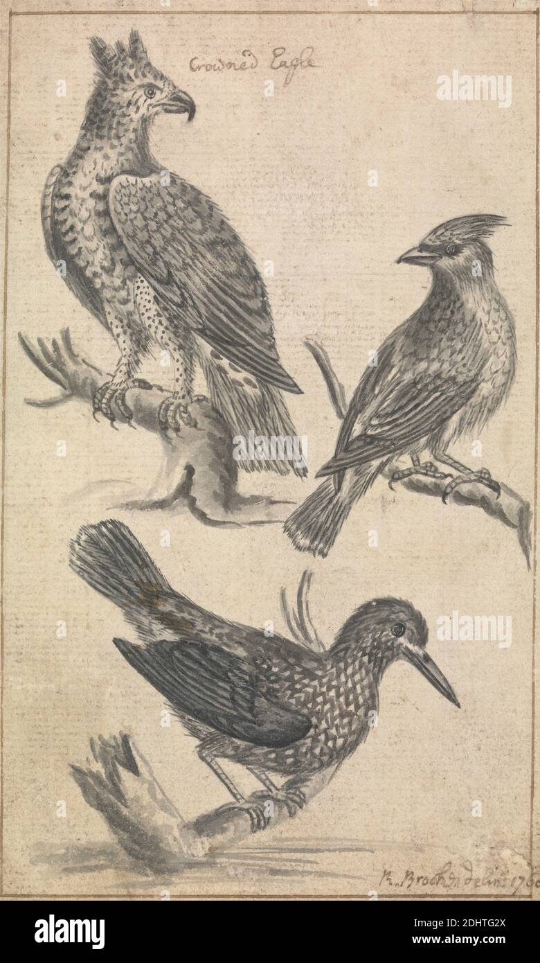 Aquila incoronata e due uccelli, Richard Brookes, 1721–1763, 1760, penna e inchiostro nero con lavaggio grigio su carta media, testurizzata leggermente, crema di carta montata su media, leggermente testurizzata, carta di wove crema, foglio: 5 5/8 × 3 1/2 pollici (14.3 × 8.9 cm), arte animale, uccelli, rami, aquile (uccelli Foto Stock