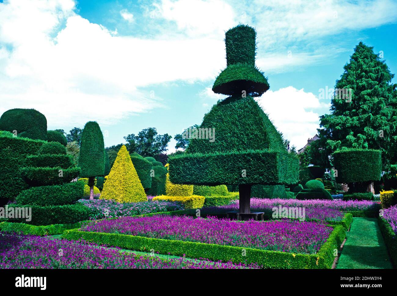Impressionante giardino Topiary nel Distretto dei Laghi di Cumbria Foto Stock