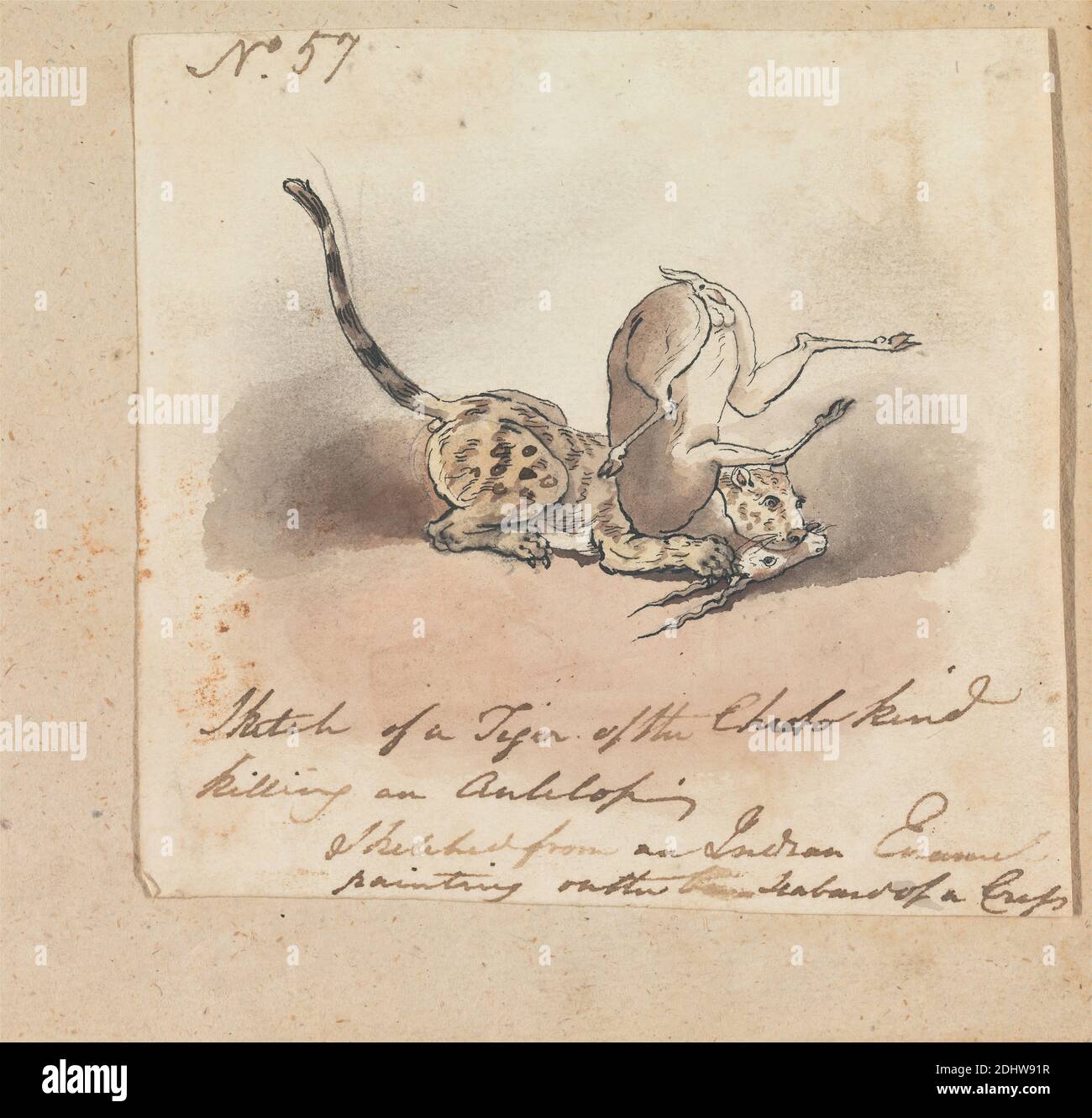 Un Cheetah che uccide un Antelope, Robert Mabon, morto 1798, britannico, non saturato, acquerello e grafite con penna e inchiostro nero su carta media, leggermente testurizzata, carta di wove crema, foglio: 5 3/4 × 5 7/8 pollici (14.6 × 14.9 cm), arte animale Foto Stock