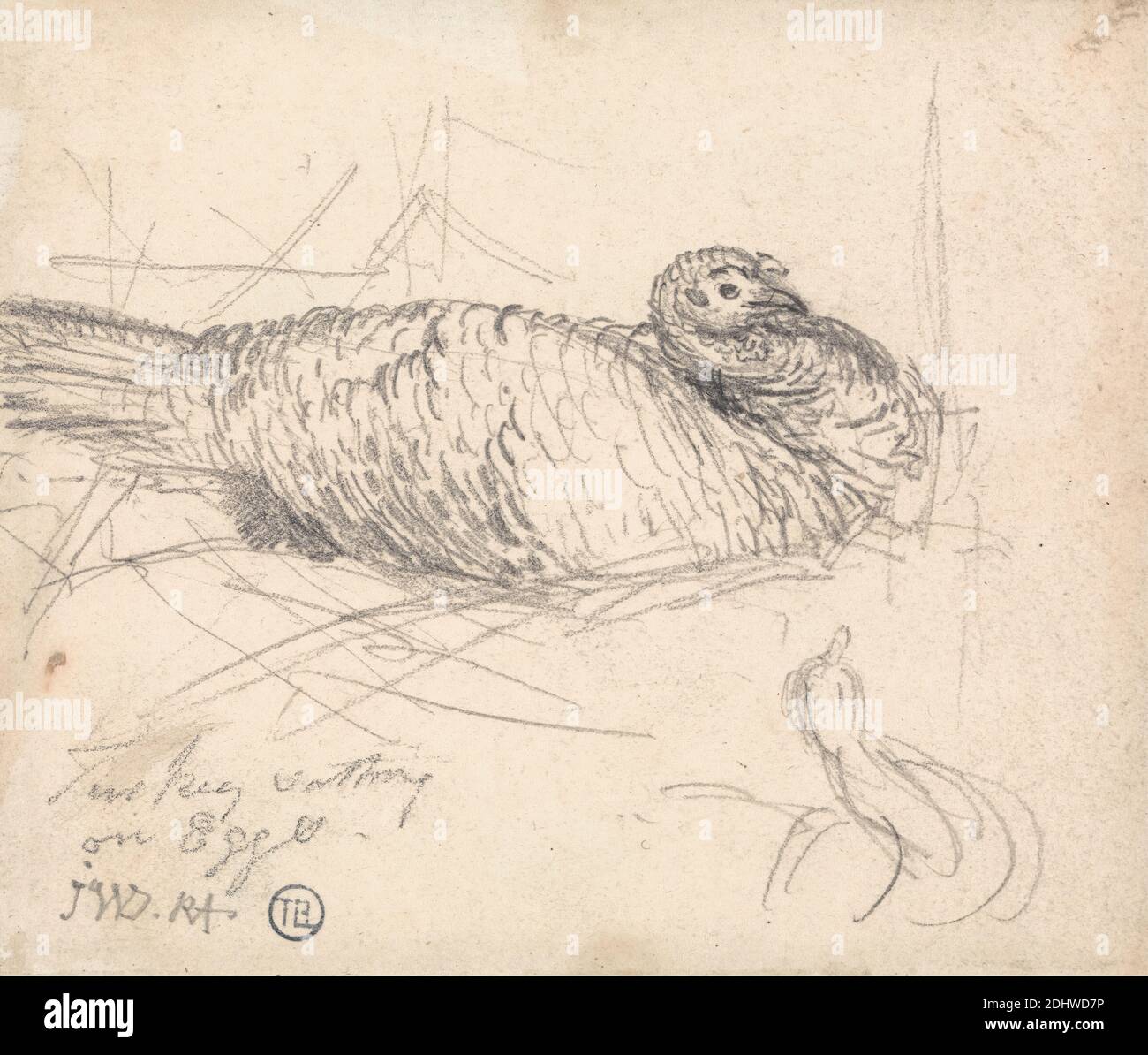 Un tacchino seduto sulle uova, James Ward, 1769–1859, britannico, non trattato, grafite su carta media, liscia, crema di wove, foglio: 4 1/8 x 4 7/8 pollici (10.5 x 12.4 cm) e Monte: 7 5/8 × 8 5/8 pollici (19.4 × 21.9 cm), arte animale, uova, tacchino (uccello Foto Stock