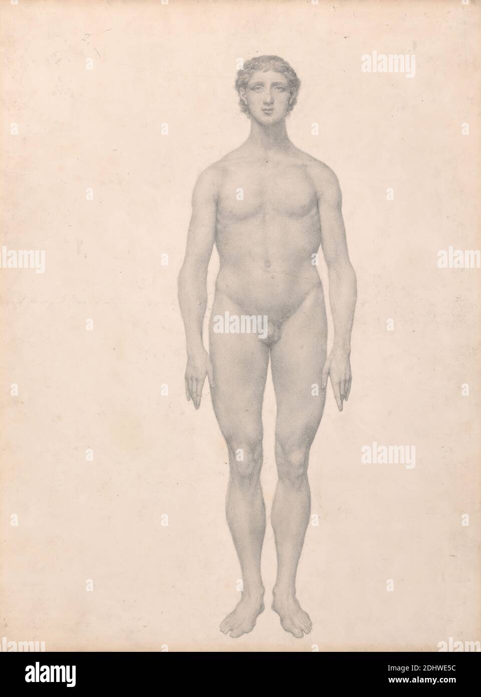Figura umana, Vista anteriore, non dissecata (Studio finito per Tabella VI), George Stubbs, 1724–1806, britannico, da 1795 a 1806, grafite su carta di wove crema di spessore moderato, leggermente testurizzata, foglio: 21 1/4 x 40.6 cm (16 x 54 pollici), studio anatomico, anatomia, corpo, viso, studio figurativo, anteriore, uomo Foto Stock