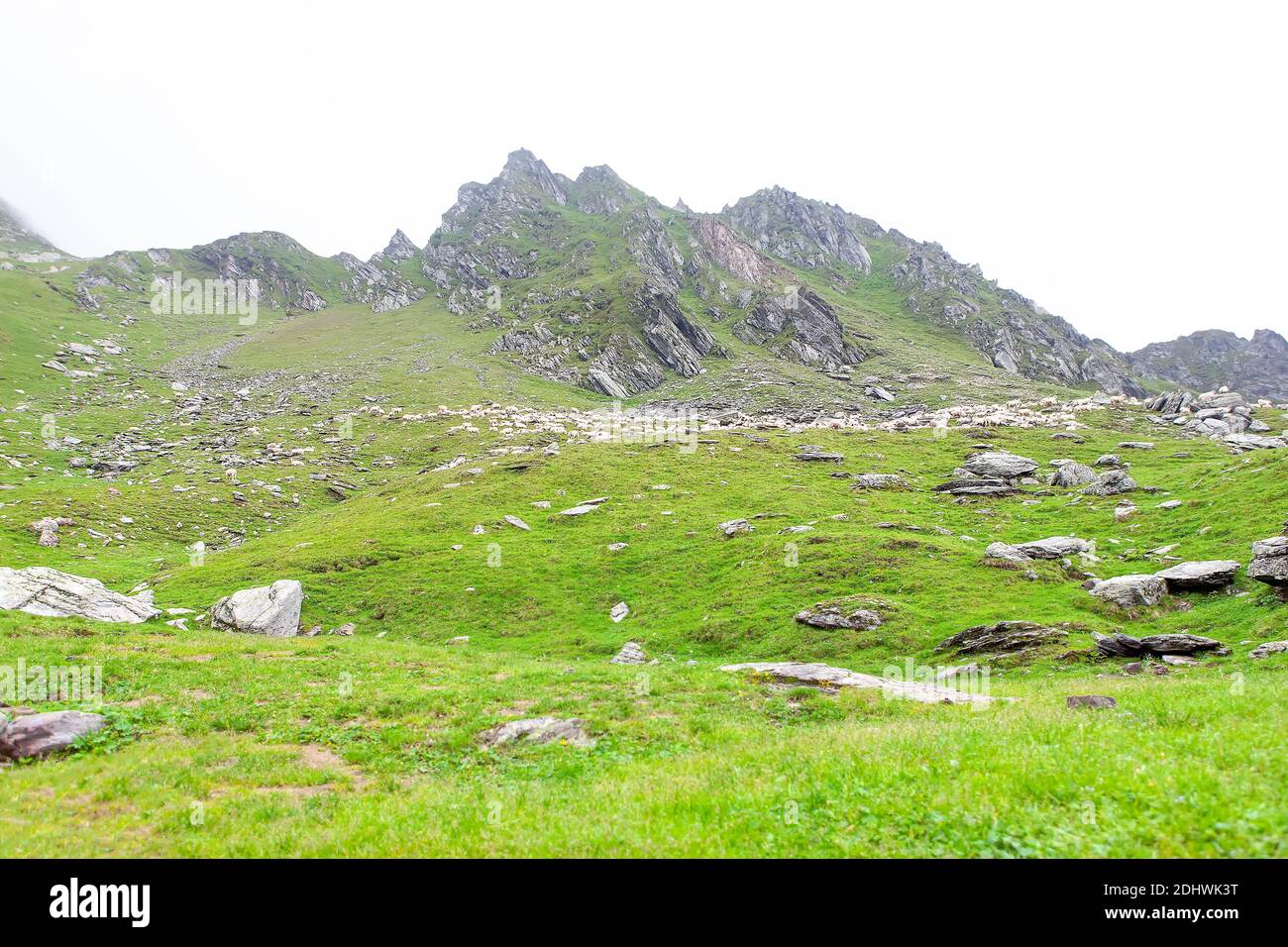 Montagne verdi residue nella mattinata di Foggy Foto Stock