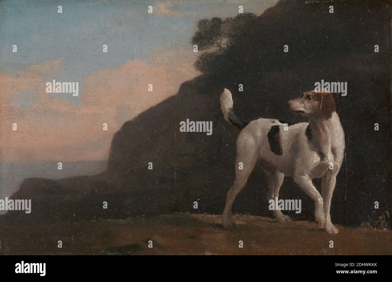 FOXHOUND, George Stubbs, 1724–1806, inglese, ca. 1760, olio su carta a bordo, supporto (PTG): 5 3/4 x 8 3/4 pollici (14.6 x 22.2 cm), Animalia (regno), cane (animale), foresta, caccia, montagna, riva (forma di terra), cielo, arte sportiva, studi (opere visive Foto Stock