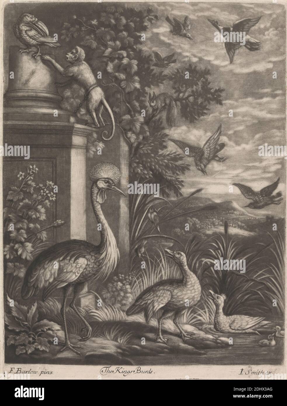 The Kings Birds, Stampa realizzata da John Smith, 1652–1743, inglese, dopo Francis Barlow, ca. 1626–1704, inglese, 1680s, Mezzotint, con brunitura su carta leggermente spessa, moderatamente testurizzata, bianca blu, foglio: 9 1/2 × 7 1/8 pollici (24.1 × 18.1 cm) e immagine: 9 × 6 15/16 pollici (22.9 × 17.6 cm Foto Stock