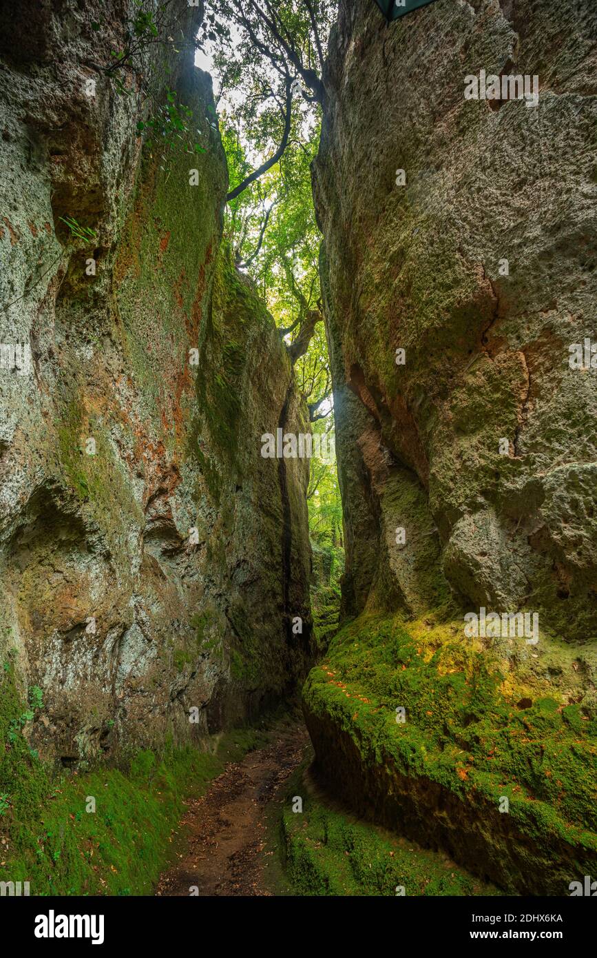 Paesaggi e vedute di via Cava di San Sebastiano a Sovana. Parco Archeologico Città del Tufo, Sovana, Grosseto, Toscana, Italia, Europa. Foto Stock