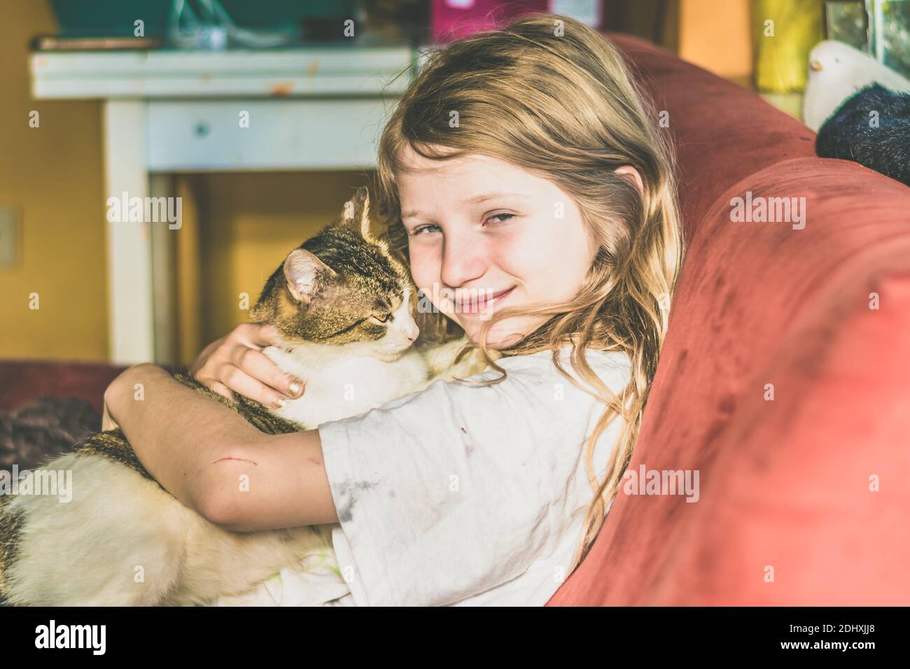 bella bambina con gatto domestico Foto Stock