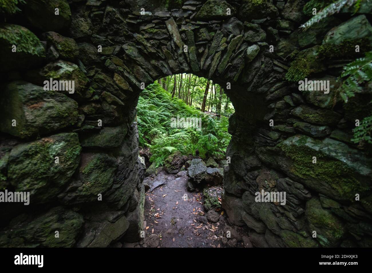arco di pietra all'interno di una foresta piena di felci visto in lo sfondo Foto Stock