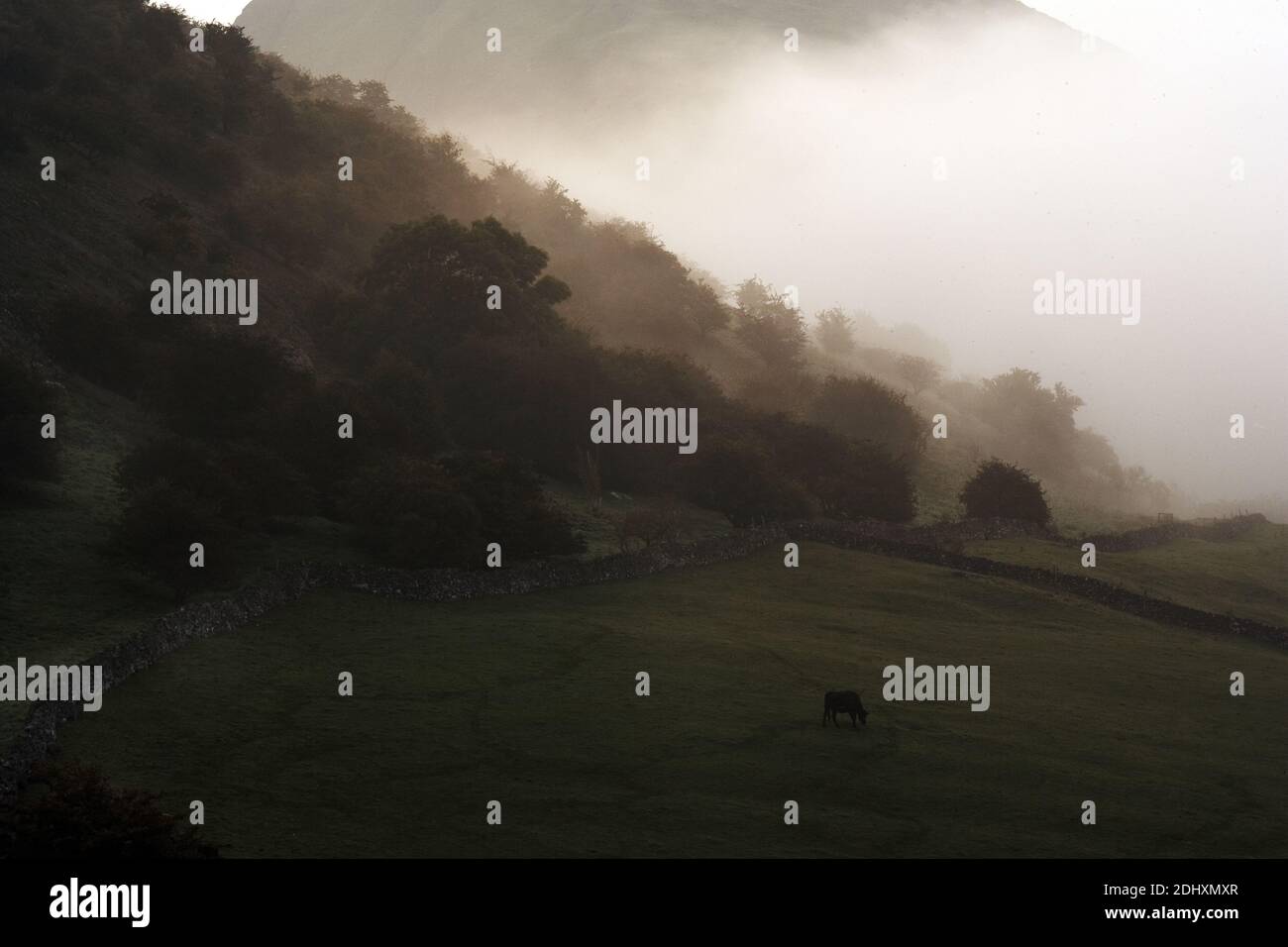 Vista verso Thorpe Cloud, Dovedale, Peak District, Inghilterra Foto Stock