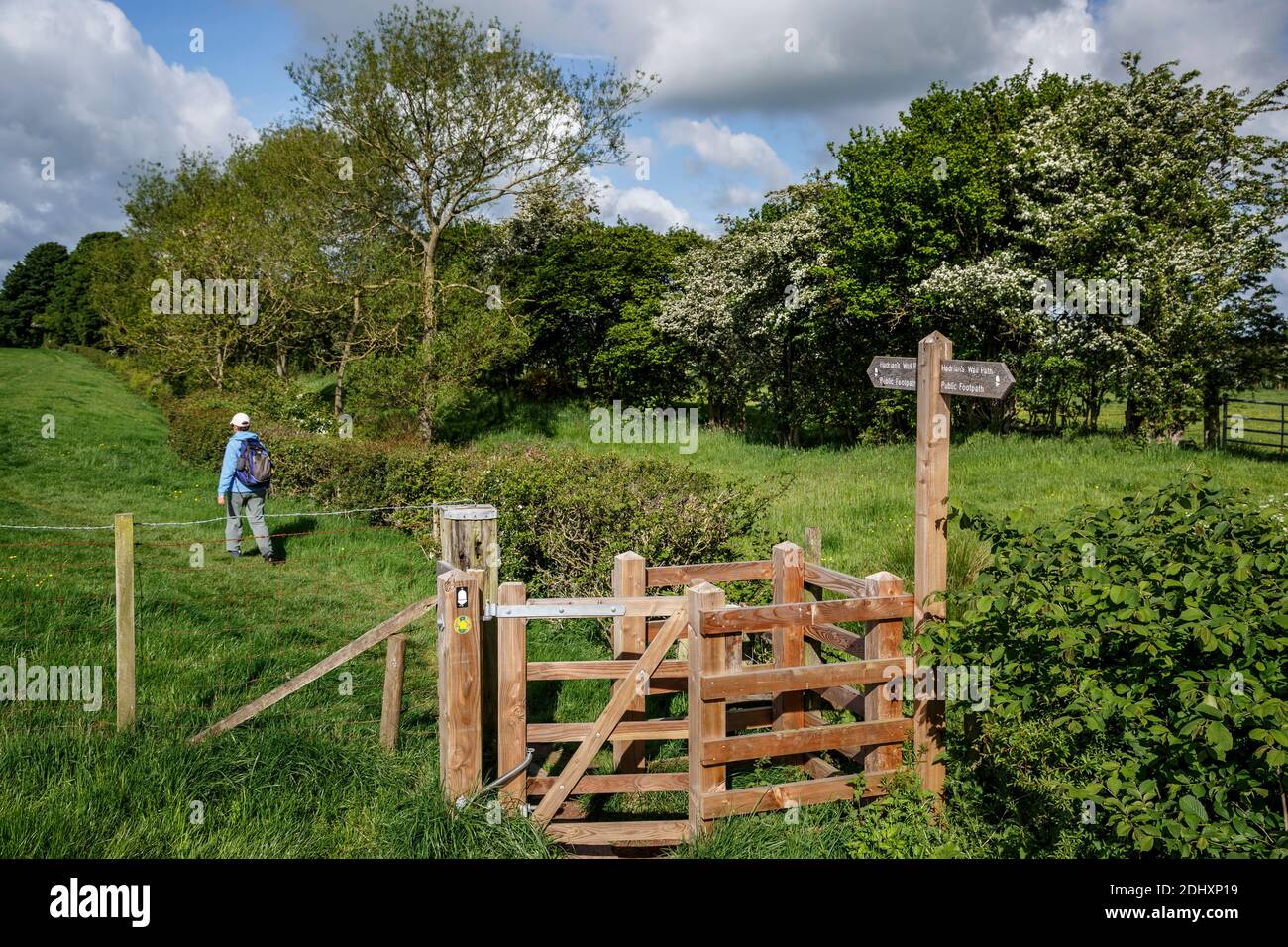 Donna escursionista dopo aver attraversato il cancello baciante e Adriano Wall Path segnaletica, Adriano's Wall, vicino a Bletarn, Cumbria, Inghilterra, Regno Unito Foto Stock