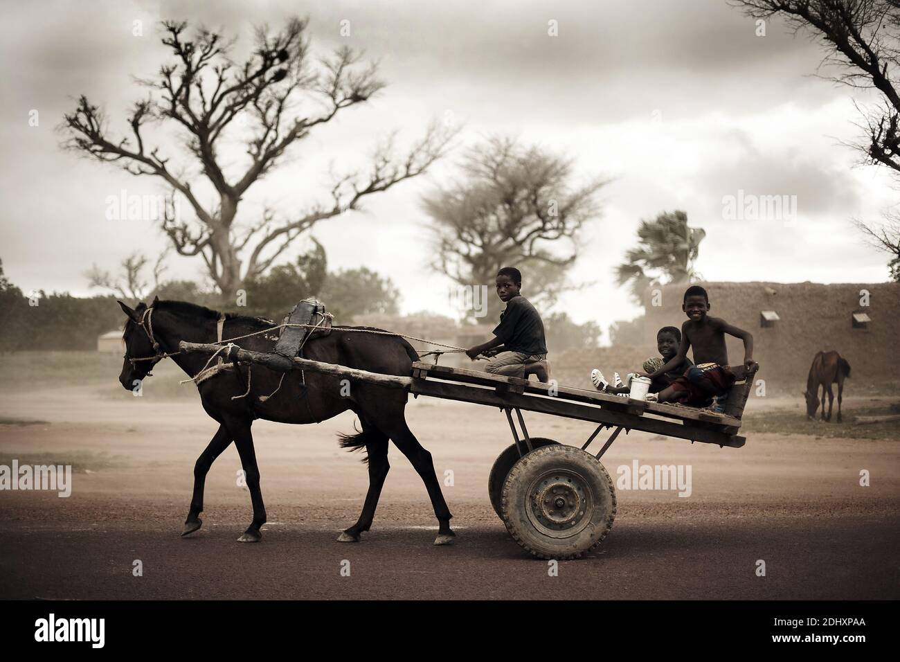 Africa / Mali /bambini che guidano su una carreggiata trainata da cavalli su strada. Foto Stock