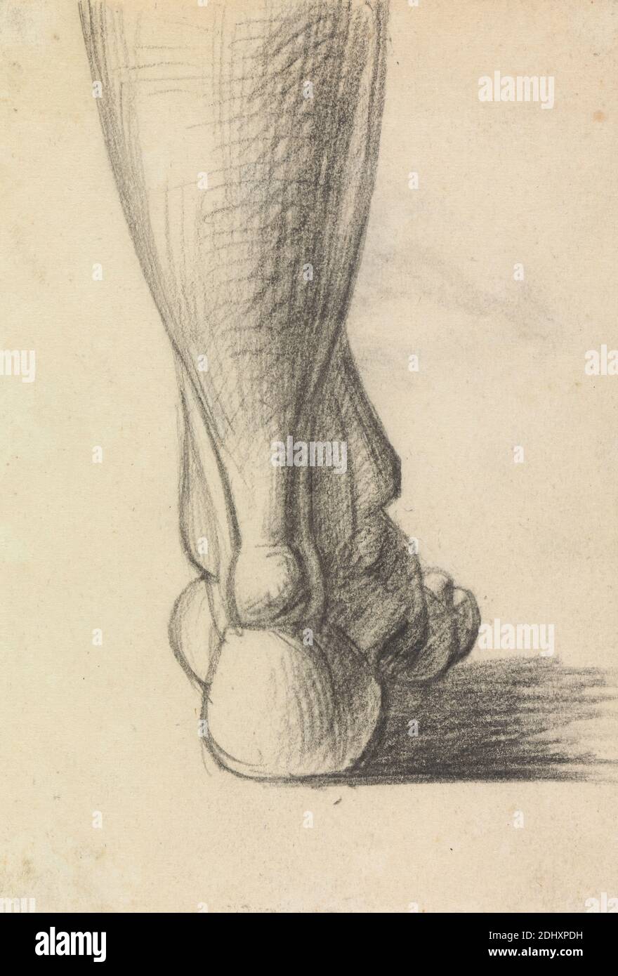 Studio anatomico del tacco di un piede, Benjamin Robert Haydon, 1786–1846, inglese, non satinato, gesso nero su medio, leggermente testurizzato, crema, carta wove, foglio: 5 1/16 × 3 1/2 pollici (12.9 × 8.9 cm), studio anatomico, piede Foto Stock