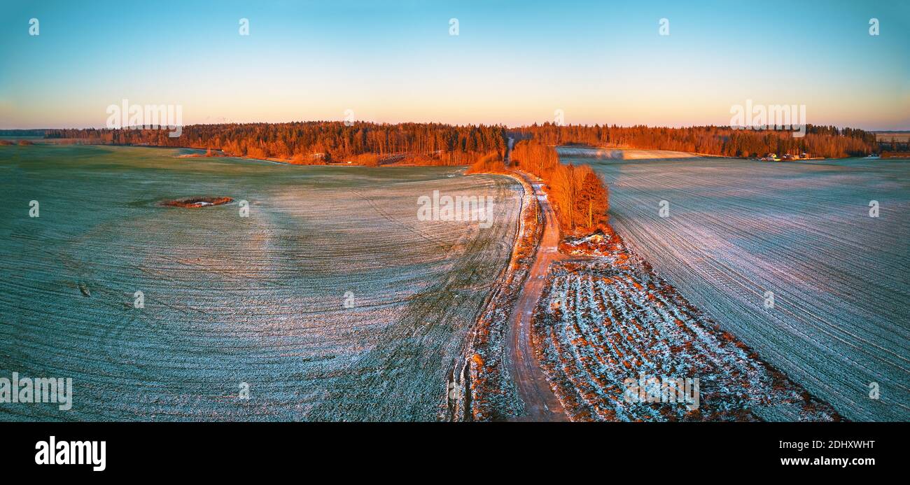 Inverno verde terreno agricolo raccolti invernali sotto neve panorama. Alberi colorati dicembre tramonto scena aerea. Strada sterrata rurale. Vista dall'alto sulla campagna. Foto Stock