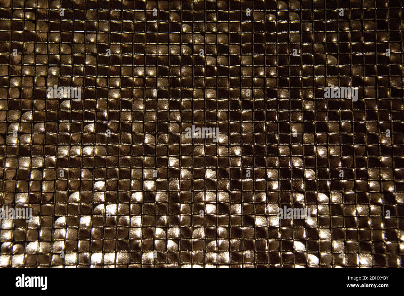 Texture quadrate nere. Tessuto della pelle di serpente. Piccoli quadrati neri lucidi. Foto Stock