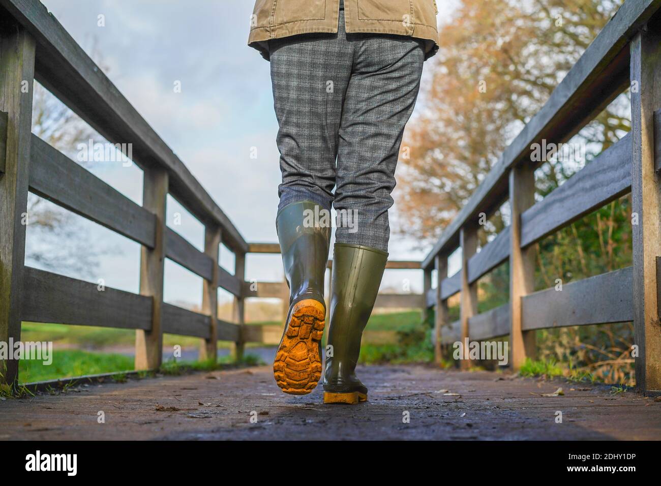 Basso angolo, vista posteriore della donna britannica in stivali wellington / wellies, isolati all'aperto a piedi in inverno sole che attraversa un ponte di legno. Foto Stock