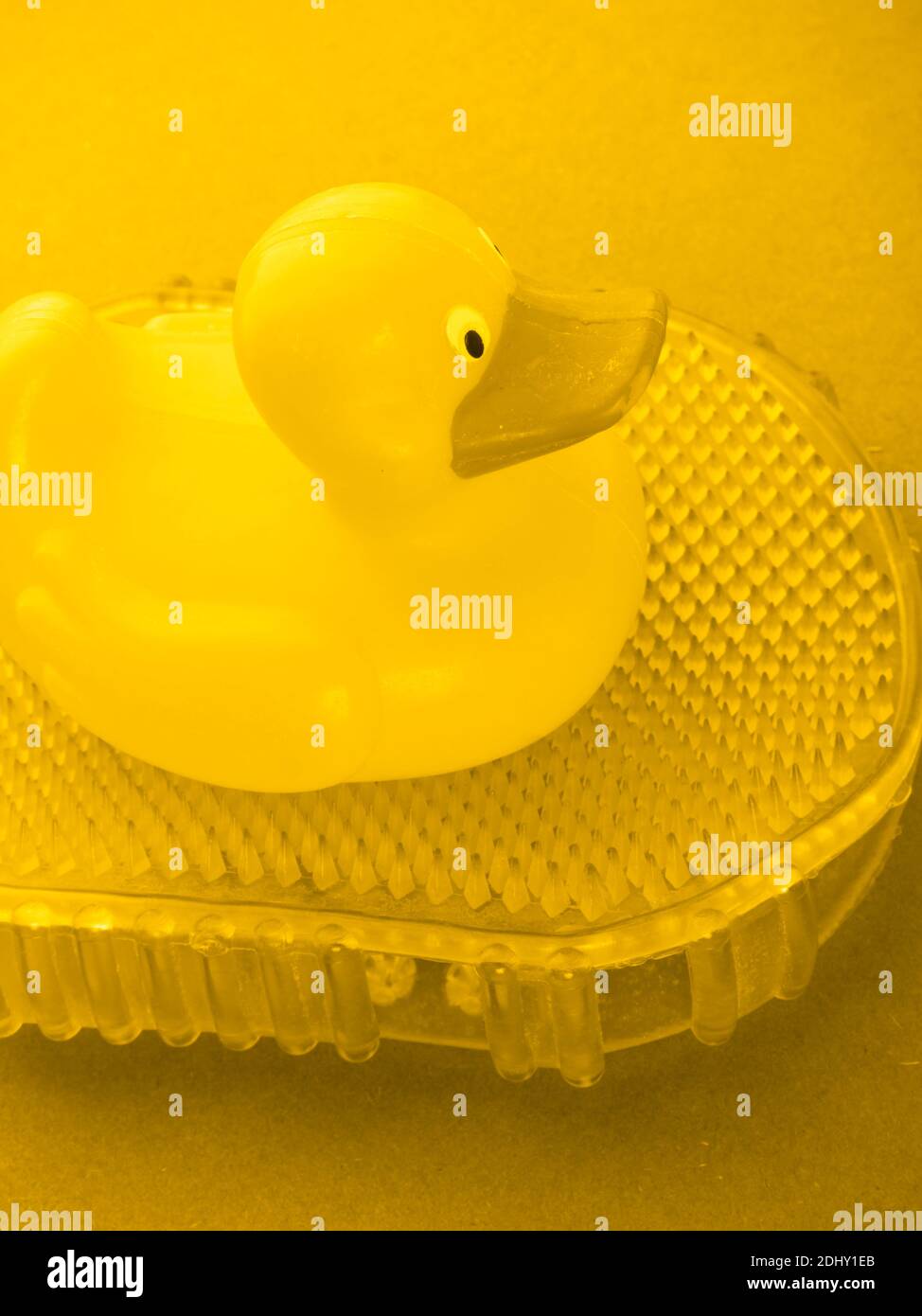 anatra di gomma gialla illuminante su guanto da massaggio, colori trendy di 2021, spazio copia Foto Stock