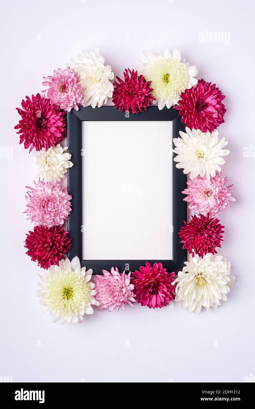 Immagine mockup cornice decorata con fiori di crisantemo Foto Stock