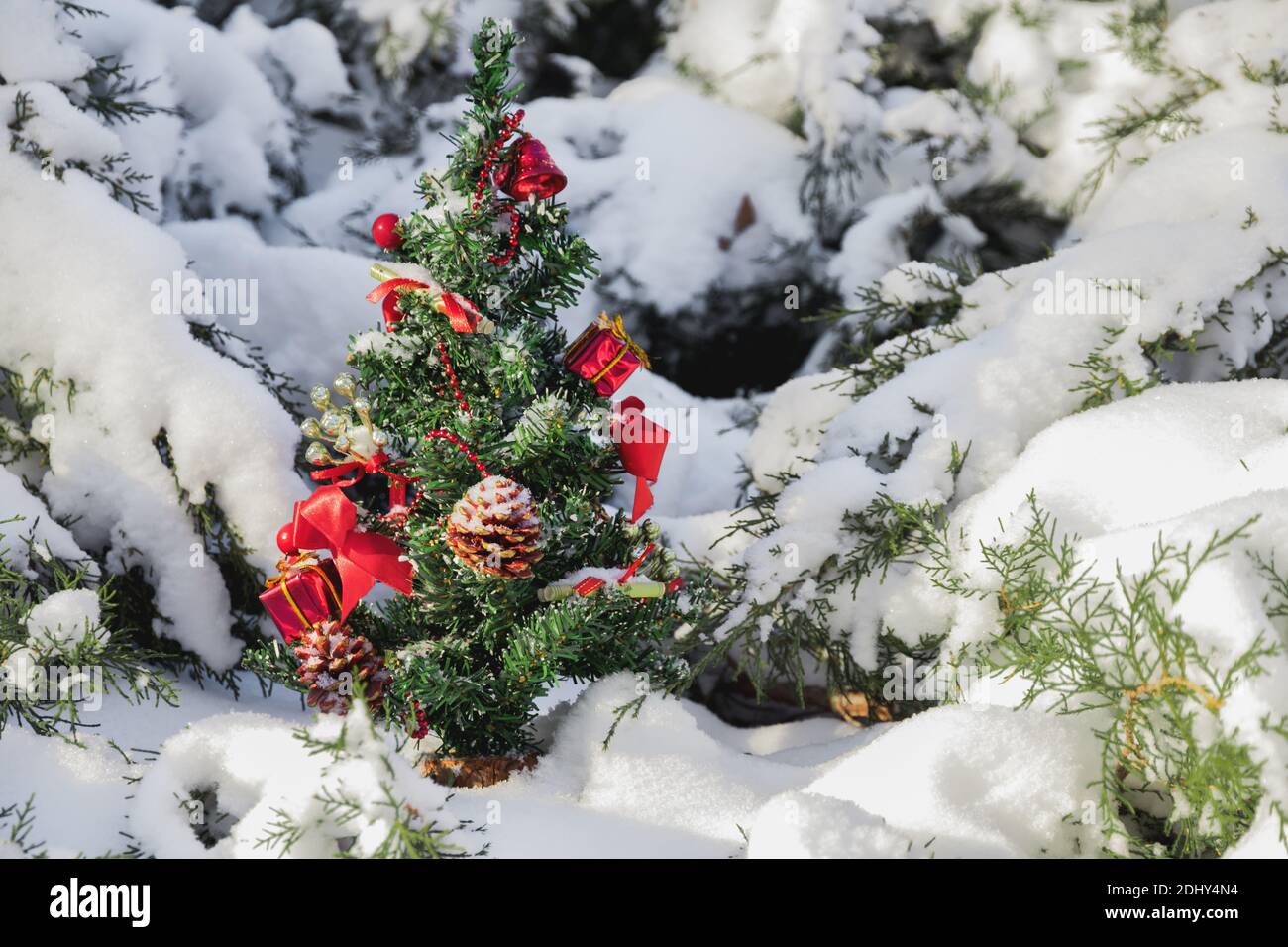 Un piccolo albero di Natale decorato con giocattoli, regali, bacche e archi su un moncone si erge nella neve tra fiocchi di neve e piante. Giorno invernale luminoso e soleggiato Foto Stock