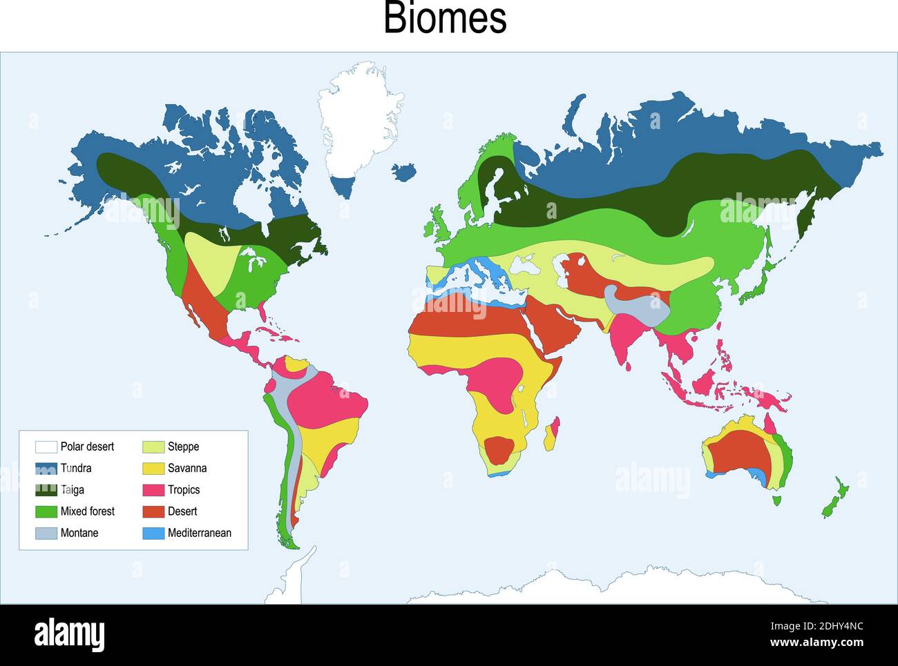biomes. Mappa a colori dei principali biomi del mondo. Illustrazione vettoriale Illustrazione Vettoriale
