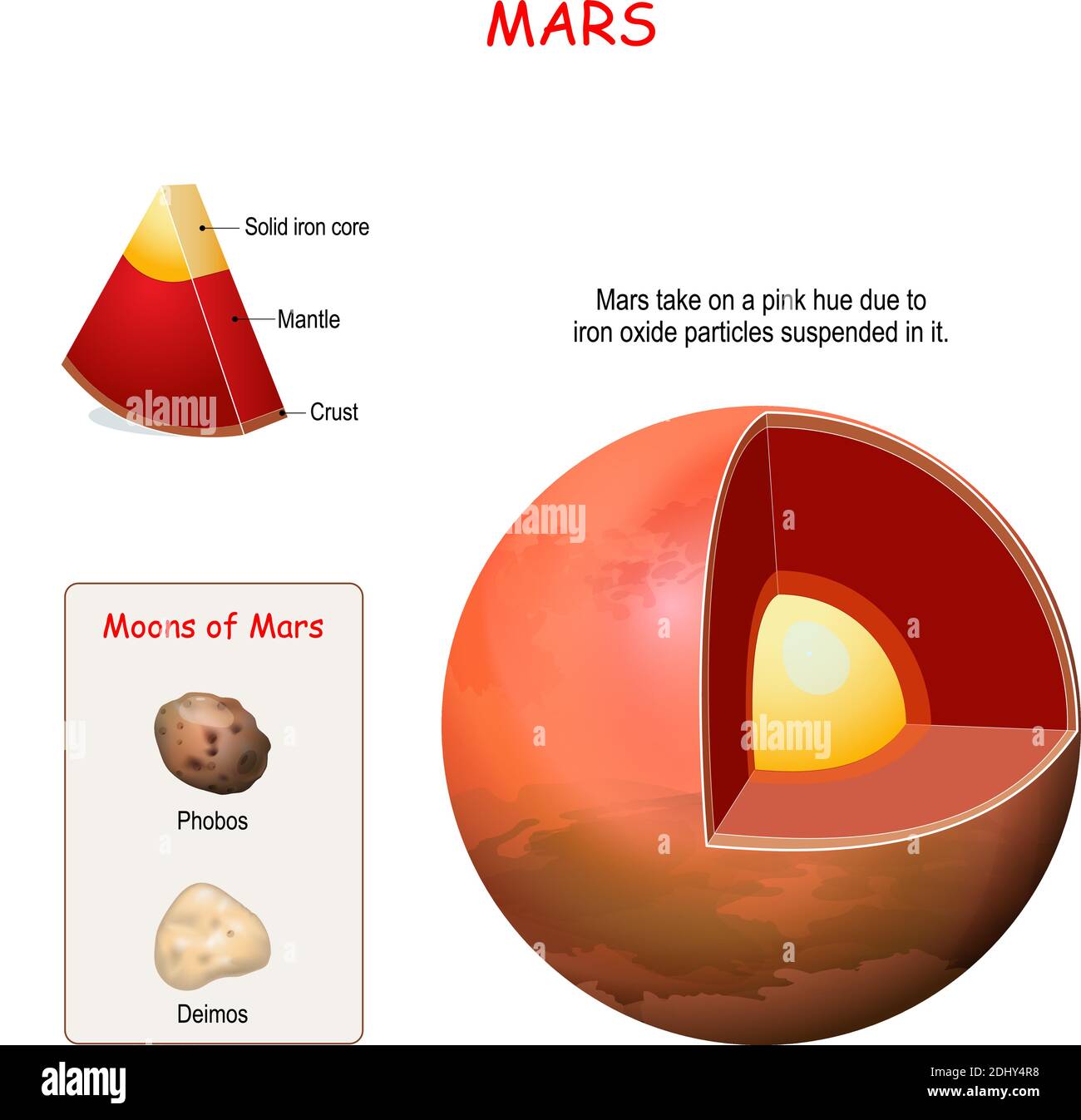 Struttura interna di Marte. Sezione trasversale del pianeta da nucleo a mantello e crosta. Deimos e Phobos - due lune di Marte. Sistema solare. Infografiche Illustrazione Vettoriale