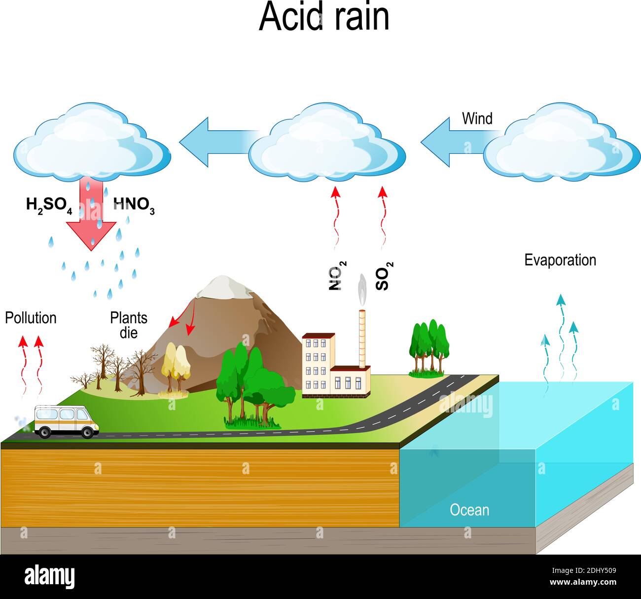 La pioggia acida è causata dalle emissioni di anidride solforosa e di ossido di azoto, che reagiscono con le molecole d'acqua presenti nell'atmosfera per produrre acidi. Illustrazione Vettoriale