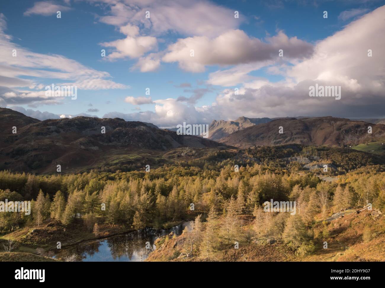 Il Langdale da Holme cadde nell'English Lake District Foto Stock