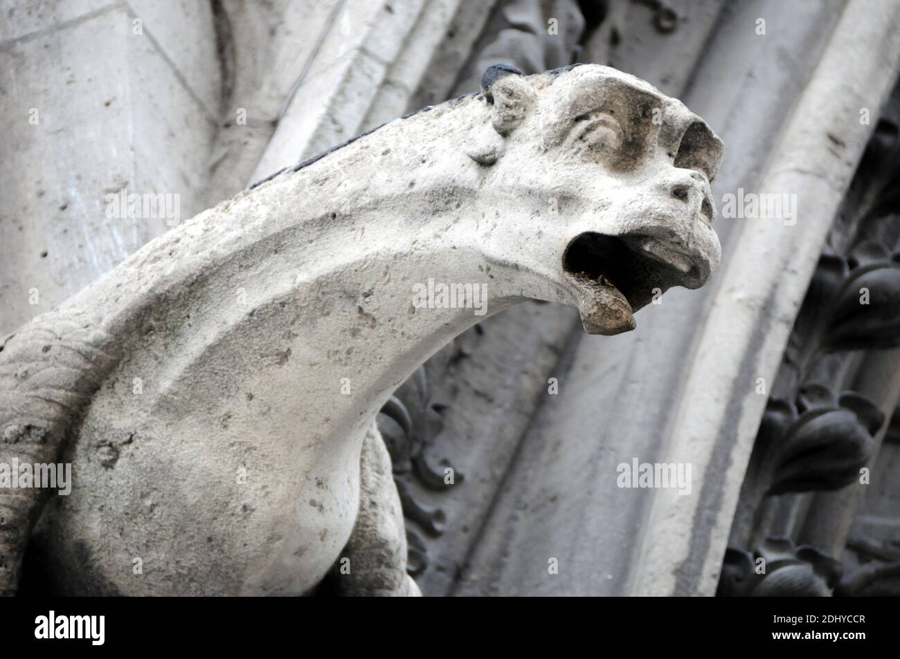 Illustrazione di Gargoyle (Gargouille) presso la chiesa e la cattedrale di Parigi, Francia, il 03 aprile 2016. Il termine gargoyle è più spesso applicato al lavoro medievale, ma in tutte le età alcuni mezzi di deviazione dell'acqua, quando non trasportato in grondaie, è stato adottato. Nell'antica architettura egiziana, i gargoyle mostravano poca variazione, tipicamente sotto forma di testa di leone. Simili beccucci d'acqua a bocca di leone sono stati visti anche su templi greci, scolpiti o modellati nel marmo o nel cimatio di terracotta del cornicione. Un esempio eccellente di questo sono i 39 rimanenti beccucci d'acqua a testa di leone sul Tempio di Z Foto Stock