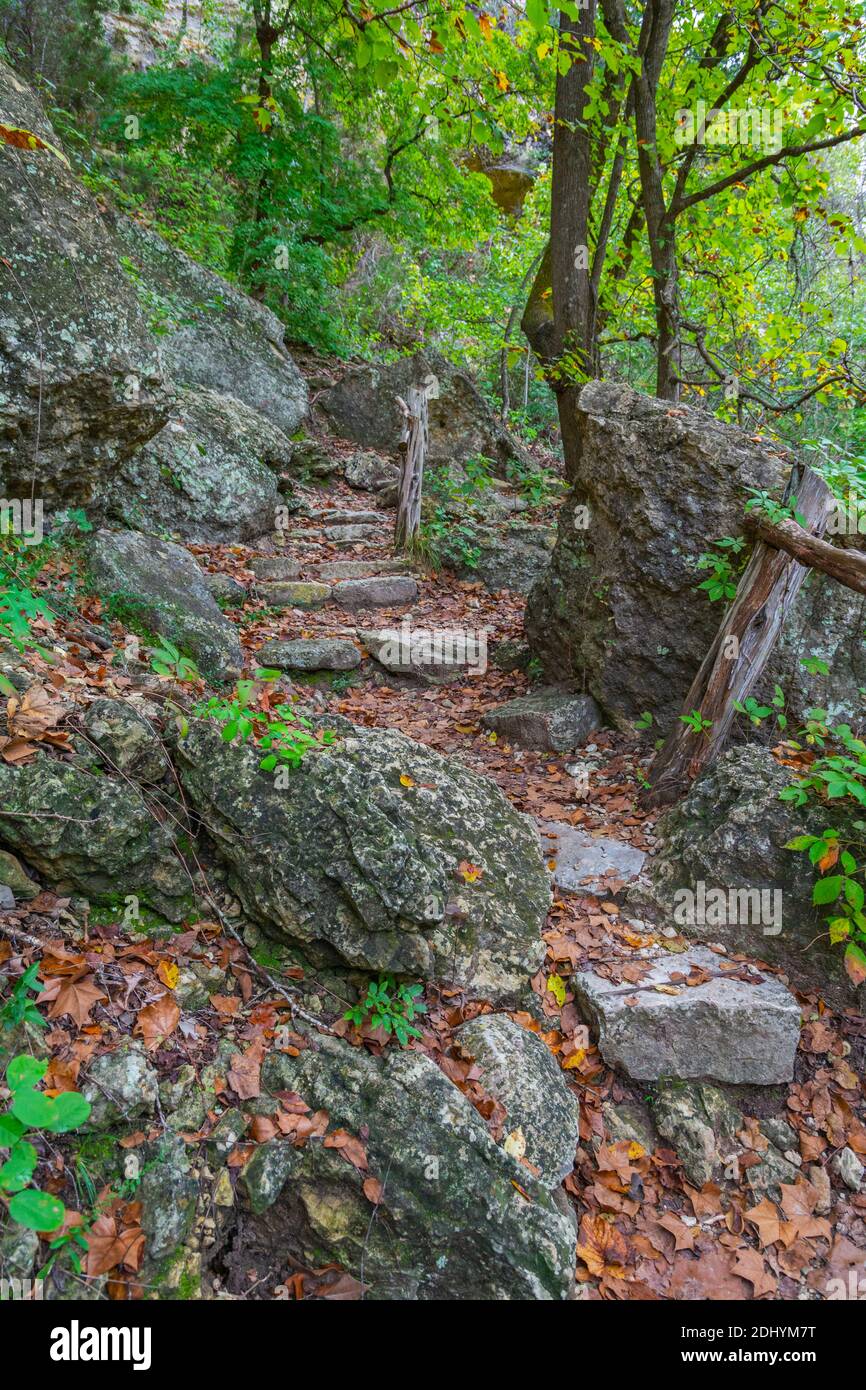 Texas Hill Country, Lost Maples state Natural Area Foto Stock