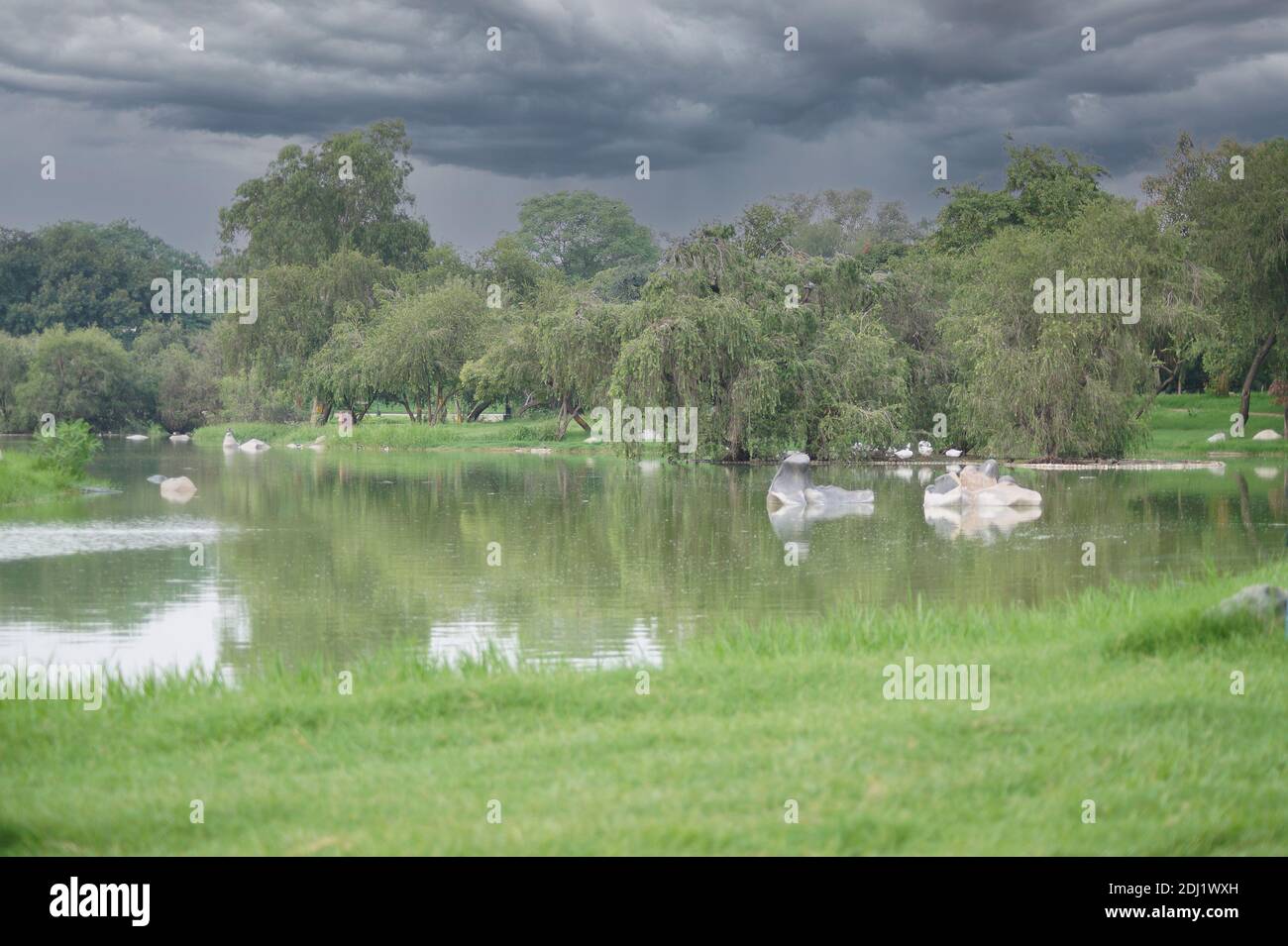 Alberi e rocce sulla riva di un lago in raj ghat, delhi, India Foto Stock