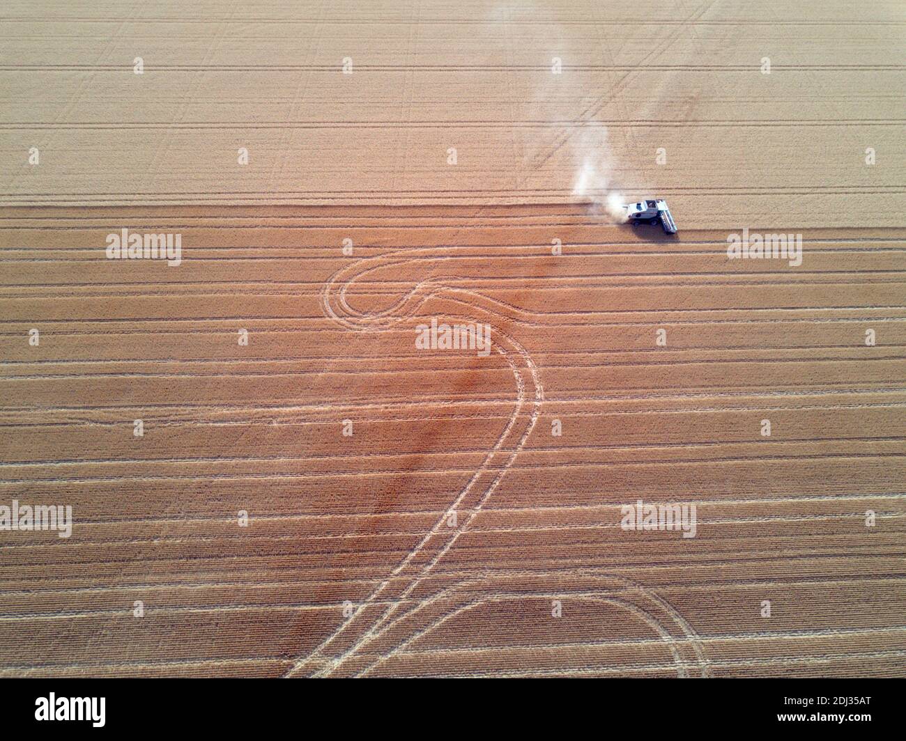 Vista aerea della mietitura del grano in Australia che mostra una mietitrebbia al lavoro in un paesaggio rurale. Foto Stock