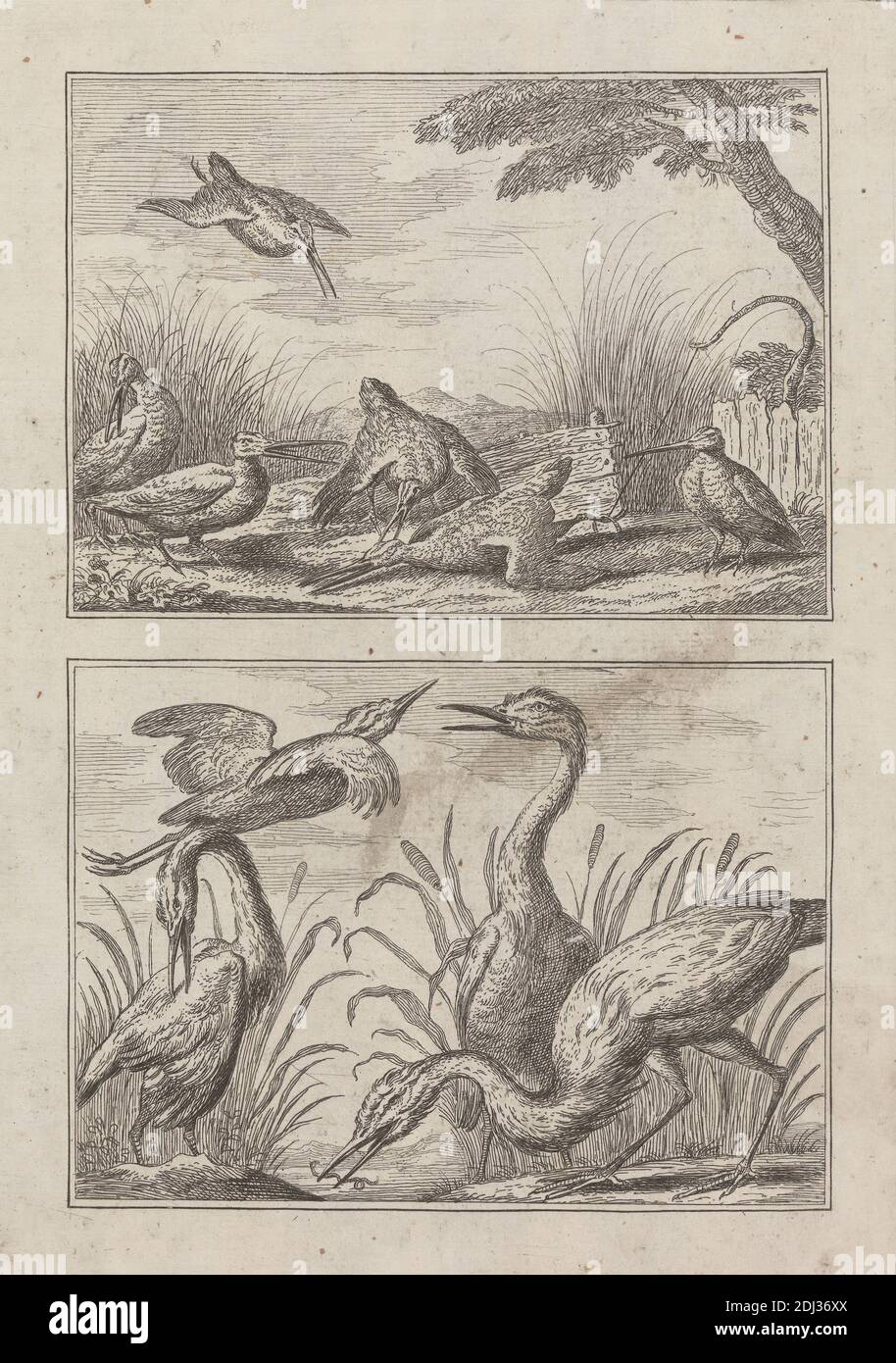 Sei Snipe e quattro aironi su due tavole su una per 'UN nuovo libro di disegno.. Di vari tipi di uccelli, tratto dalla vita da Francis Barlow', 1731 (1 di 9), Stampa fatta da George Bickham, 1683/4–1758, britannico, dopo Francis Barlow, ca. 1626–1704, inglese, pubblicato da Henry Overton, 1675/6–1751, inglese, 1731, incisione su carta media, liscia, crema, foglio: 11 5/16 x 7 1/4 pollici (28.8 x 18.4 cm), piatto: 8 7/16 x 6 1/8 pollici (21.5 x 15.5 cm), immagine: 3 7/16 x 4 15/16 pollici (8.8 x 12.5 cm), e immagine: 3 7/16 x 4 15/16 pollici (8.8 x 12.5 cm), arte animale, uccelli, preoccupazione, verme di terra, volare Foto Stock