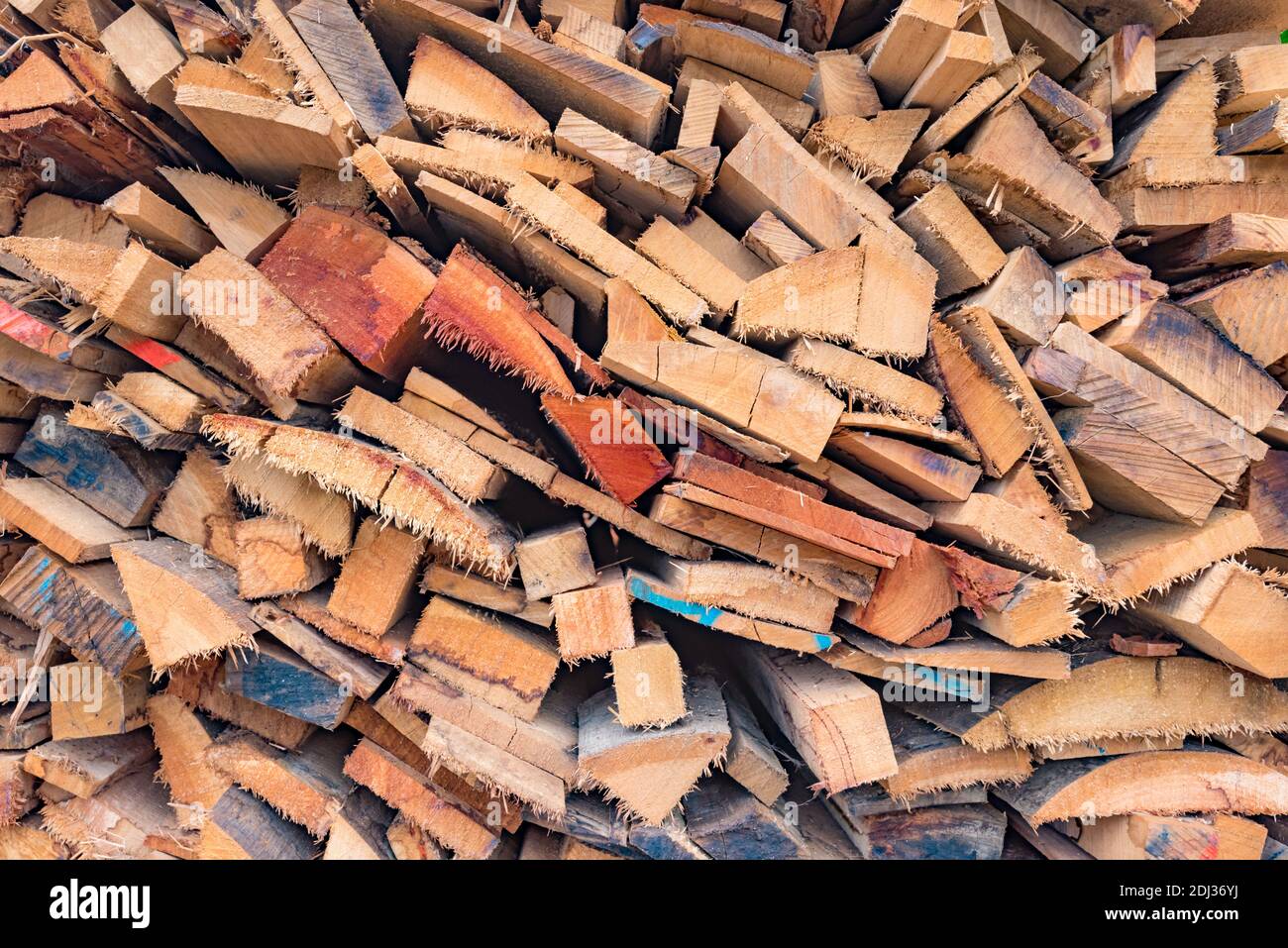 Scarti di legno da una segheria Eucalipto accatastato pronto a. sia bruciato in un forno Foto Stock