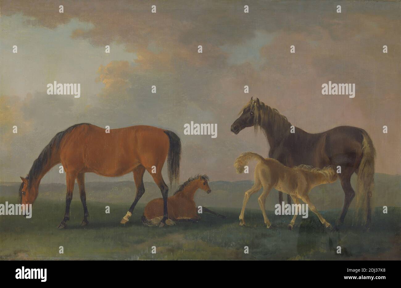 Mares and Foals, rivolto a sinistra, Sawrey Gilpin, 1733–1807, inglese, tra il 1790 e il 1800, olio su tela, supporto (PTG): 17 x 27 1/2 pollici (43.2 x 69.9 cm), campo, nemici, cavalli (animali), paesaggio, maree, madre, pascolo, pony, rurale Foto Stock