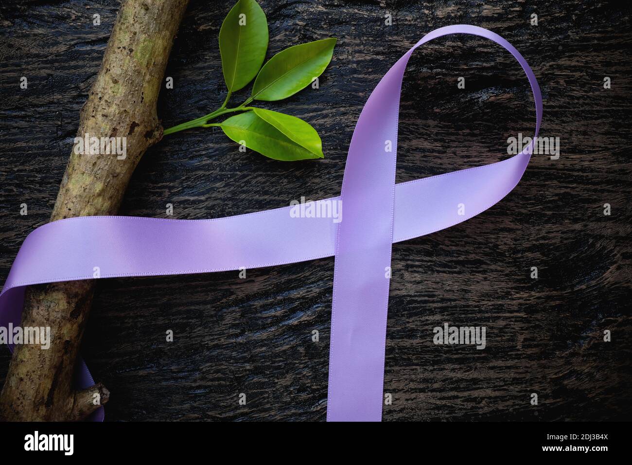 Vista dall'alto del nastro di color lavanda o orchidea viola chiaro con pianta di alberi in crescita su sfondo di legno scuro. Cancro generale e testicolare ed epilessia Foto Stock